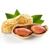 En elegant Jordnöt, Lätt saltade med naturligt utseende och känsla. Detaljerad utformning med realistiskt bladverk. 