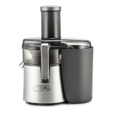 En elegant Juicepress, Stilren Juicepress med naturligt utseende och känsla. Detaljerad utformning med realistiskt bladverk. 