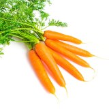 En elegant Morötter, Närodlade morötter med naturligt utseende och känsla. Detaljerad utformning med realistiskt bladverk. 